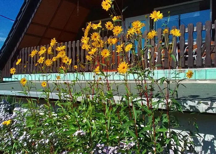 Apartment 4 Personen *